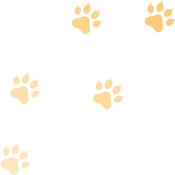 Loan Lion UK